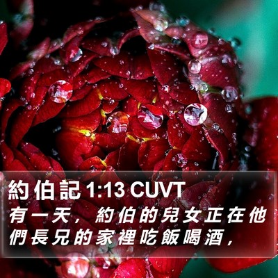 約 伯 記 1:13 CUVT Bible Verse Image