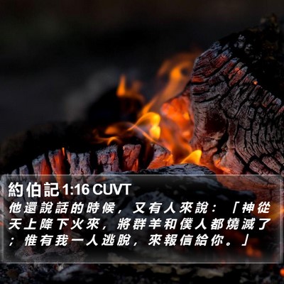 約 伯 記 1:16 CUVT Bible Verse Image