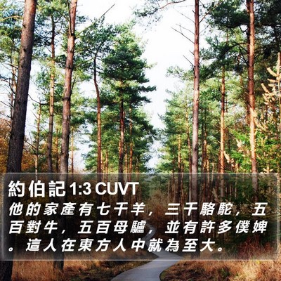 約 伯 記 1:3 CUVT Bible Verse Image