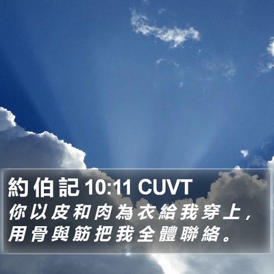 約 伯 記 10:11 CUVT Bible Verse Image