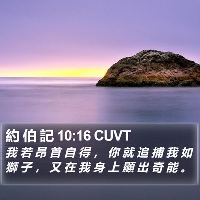 約 伯 記 10:16 CUVT Bible Verse Image