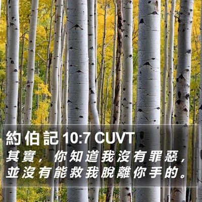 約 伯 記 10:7 CUVT Bible Verse Image