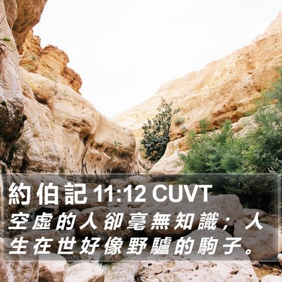 約 伯 記 11:12 CUVT Bible Verse Image