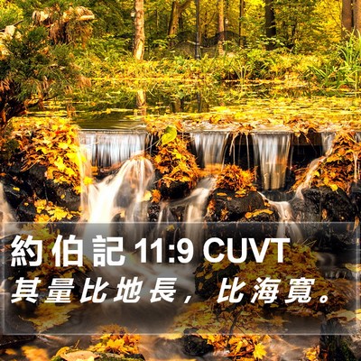 約 伯 記 11:9 CUVT Bible Verse Image