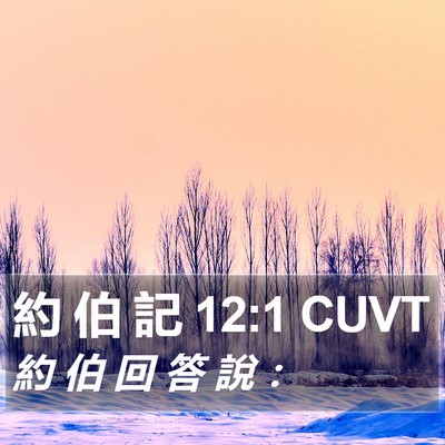 約 伯 記 12:1 CUVT Bible Verse Image