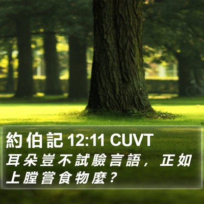 約 伯 記 12:11 CUVT Bible Verse Image