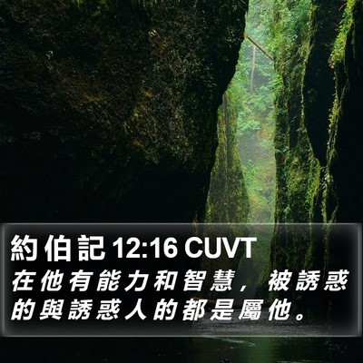 約 伯 記 12:16 CUVT Bible Verse Image
