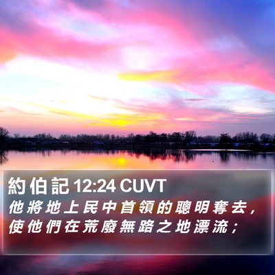 約 伯 記 12:24 CUVT Bible Verse Image