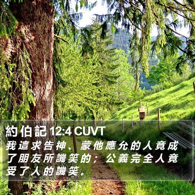 約 伯 記 12:4 CUVT Bible Verse Image