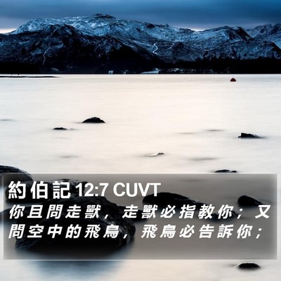 約 伯 記 12:7 CUVT Bible Verse Image