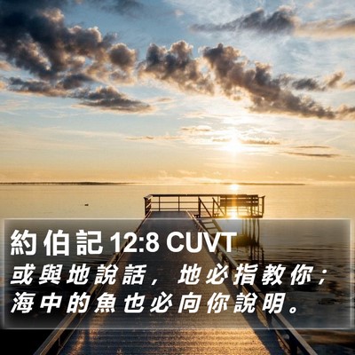 約 伯 記 12:8 CUVT Bible Verse Image