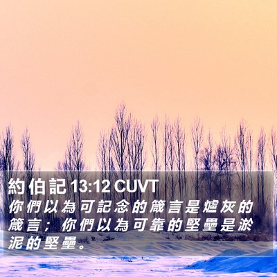 約 伯 記 13:12 CUVT Bible Verse Image