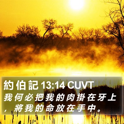 約 伯 記 13:14 CUVT Bible Verse Image