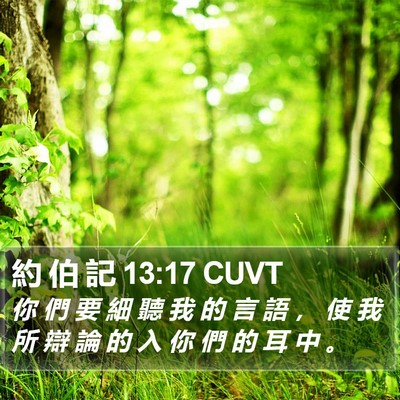 約 伯 記 13:17 CUVT Bible Verse Image