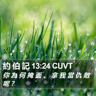 約 伯 記 13:24 CUVT Bible Verse Image