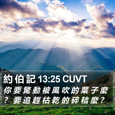 約 伯 記 13:25 CUVT Bible Verse Image