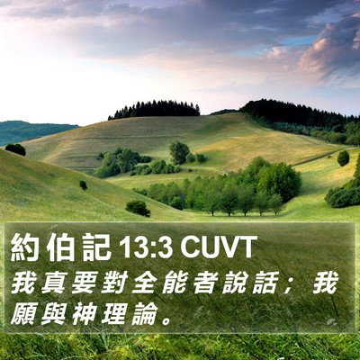約 伯 記 13:3 CUVT Bible Verse Image