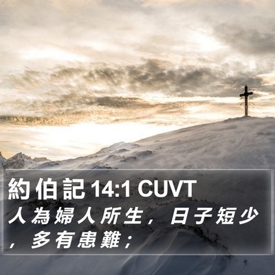 約 伯 記 14:1 CUVT Bible Verse Image