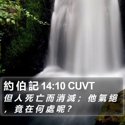 約 伯 記 14:10 CUVT Bible Verse Image