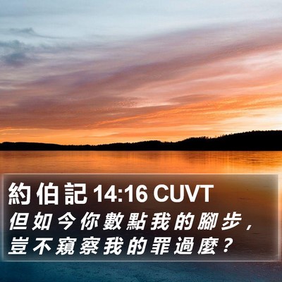 約 伯 記 14:16 CUVT Bible Verse Image