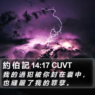 約 伯 記 14:17 CUVT Bible Verse Image