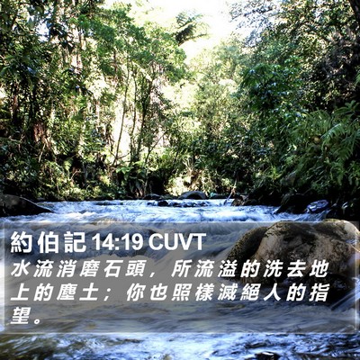 約 伯 記 14:19 CUVT Bible Verse Image