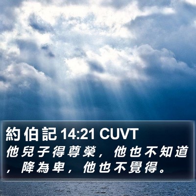 約 伯 記 14:21 CUVT Bible Verse Image