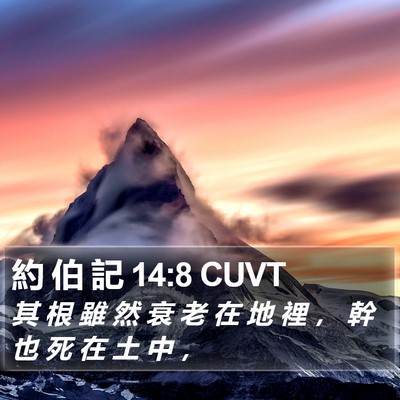 約 伯 記 14:8 CUVT Bible Verse Image