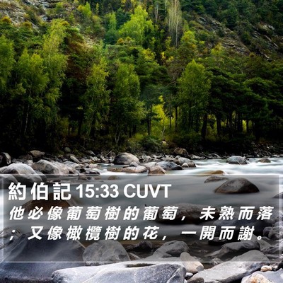 約 伯 記 15:33 CUVT Bible Verse Image