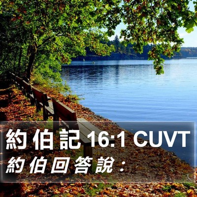 約 伯 記 16:1 CUVT Bible Verse Image