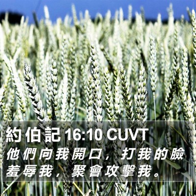 約 伯 記 16:10 CUVT Bible Verse Image