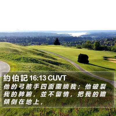 約 伯 記 16:13 CUVT Bible Verse Image