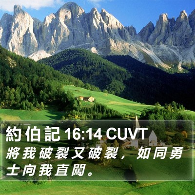 約 伯 記 16:14 CUVT Bible Verse Image