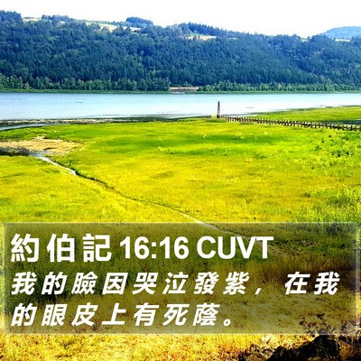 約 伯 記 16:16 CUVT Bible Verse Image