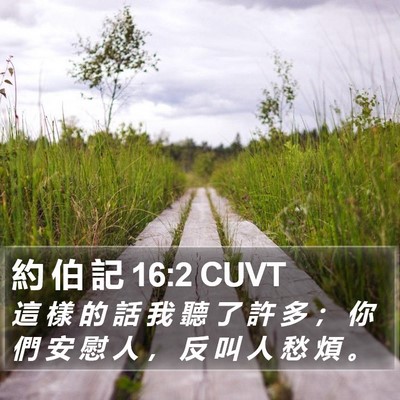 約 伯 記 16:2 CUVT Bible Verse Image