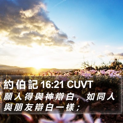 約 伯 記 16:21 CUVT Bible Verse Image