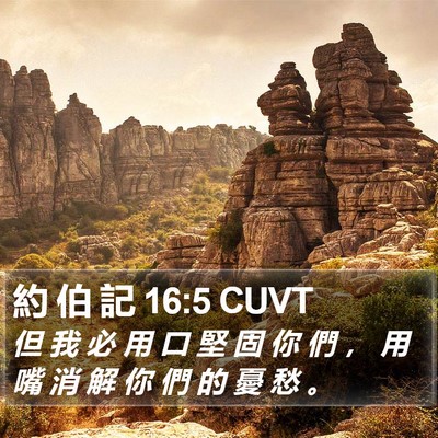 約 伯 記 16:5 CUVT Bible Verse Image