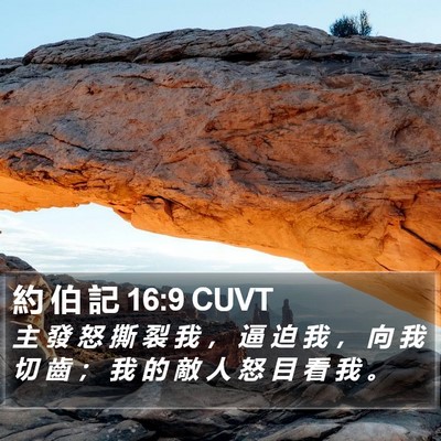 約 伯 記 16:9 CUVT Bible Verse Image