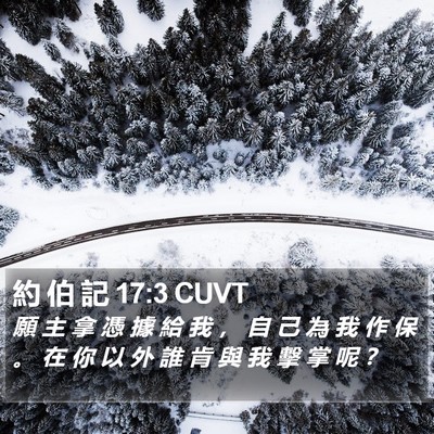 約 伯 記 17:3 CUVT Bible Verse Image