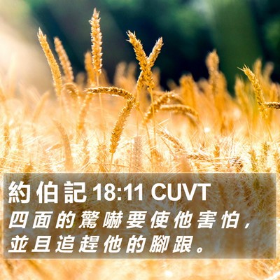 約 伯 記 18:11 CUVT Bible Verse Image