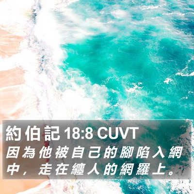 約 伯 記 18:8 CUVT Bible Verse Image