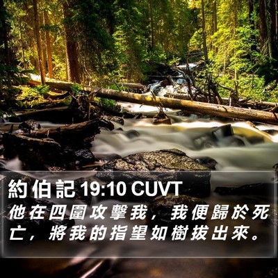 約 伯 記 19:10 CUVT Bible Verse Image