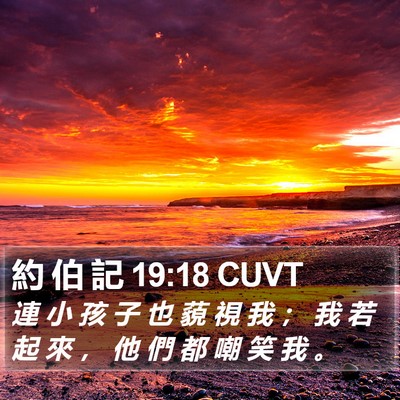 約 伯 記 19:18 CUVT Bible Verse Image