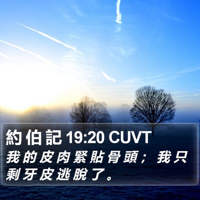 約 伯 記 19:20 CUVT Bible Verse Image