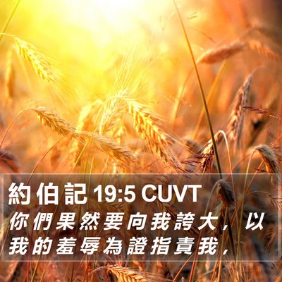 約 伯 記 19:5 CUVT Bible Verse Image