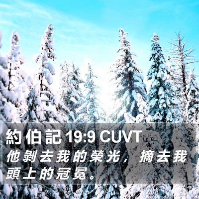 約 伯 記 19:9 CUVT Bible Verse Image