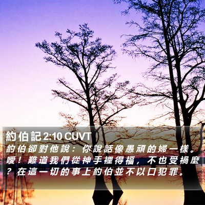 約 伯 記 2:10 CUVT Bible Verse Image