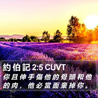 約 伯 記 2:5 CUVT Bible Verse Image