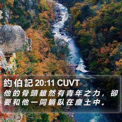 約 伯 記 20:11 CUVT Bible Verse Image