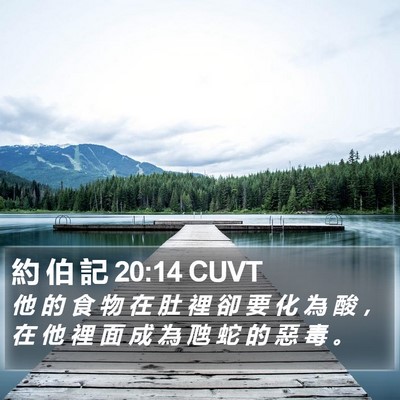 約 伯 記 20:14 CUVT Bible Verse Image